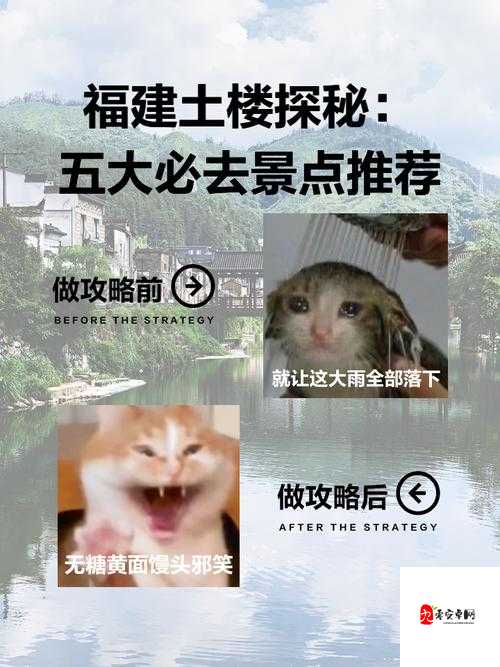 福建菠萝导航隐藏 APP 入口:探秘其隐藏之法