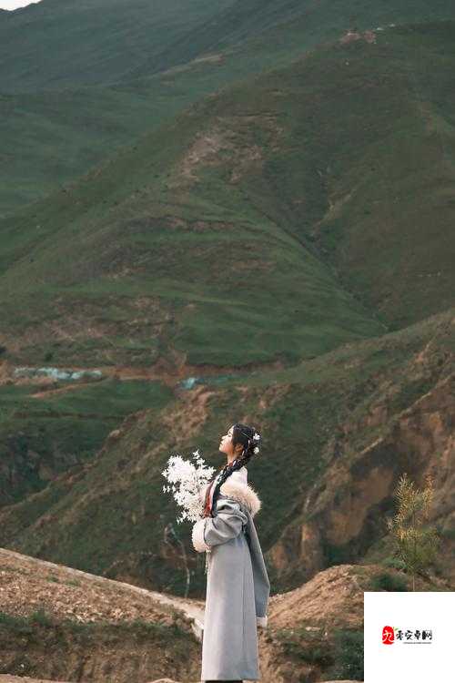 天堂草原角色人气榜:谁将登顶草原人气巅峰之位