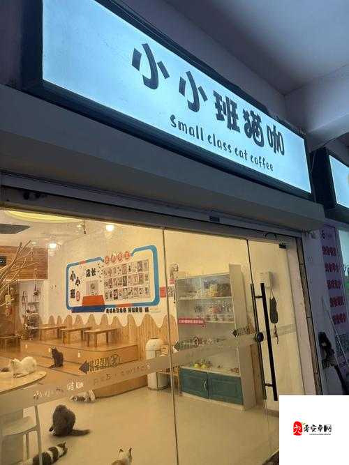 家有小院,宠物培育全攻略,打造温馨宠物乐园