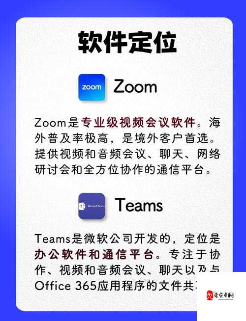 探秘 ZOOM 与牛性胶 ZOOM:它们背后的秘密与独特之处详析