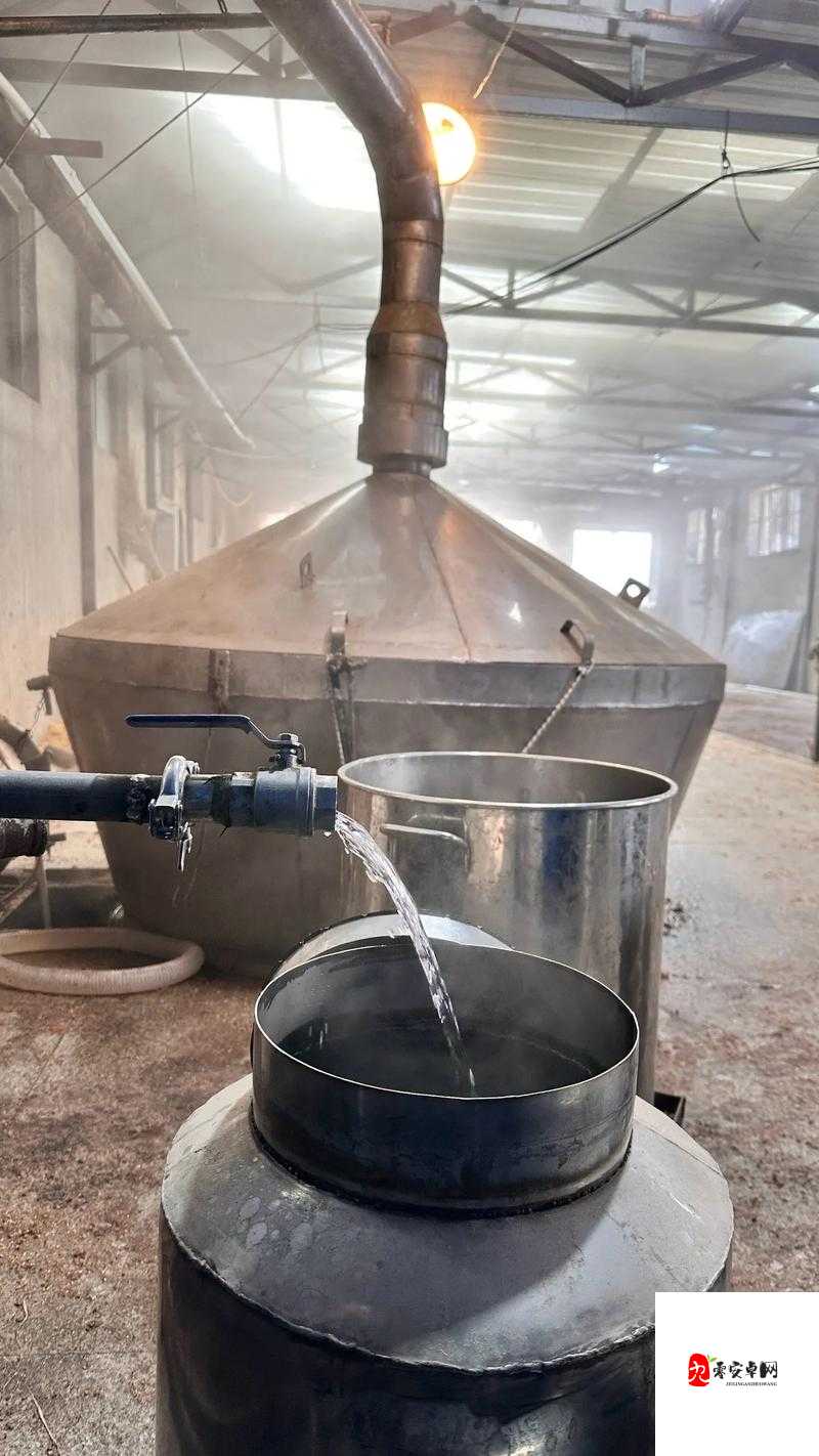 幸福酒厂,酿造快乐与财富的梦幻之旅