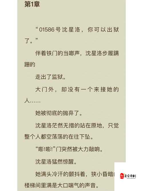 9 个野蛮的装修工小说免费阅读:精彩故事等你开启