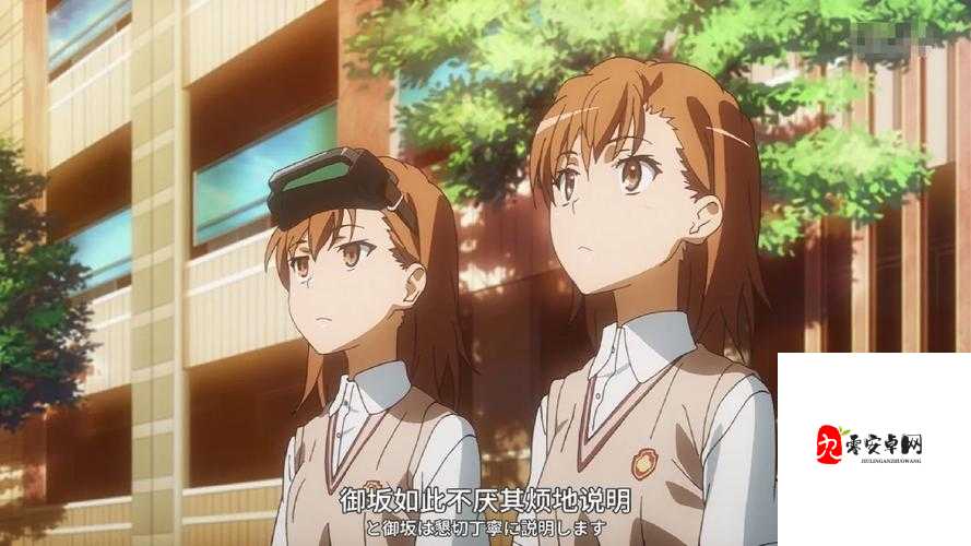 双生视界,探索御坂妹妹的萌动世界