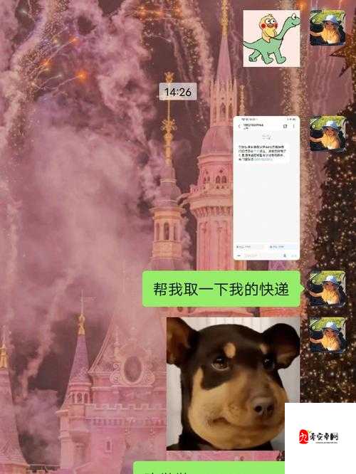 从现在开始,请叫我暴躁姐