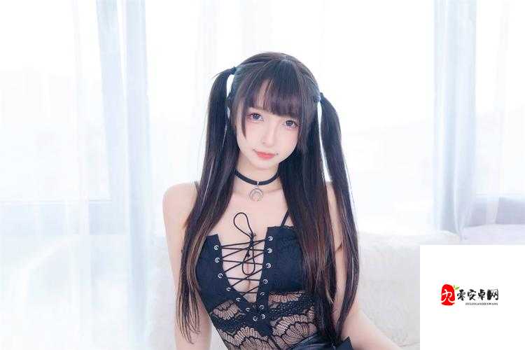 无人区码一码二码w358cc：关于它的详细介绍与分析