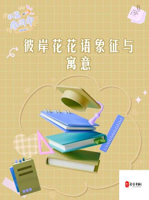 XXXXXLMEDJYFBD :探索其背后的神秘意义与价值所在