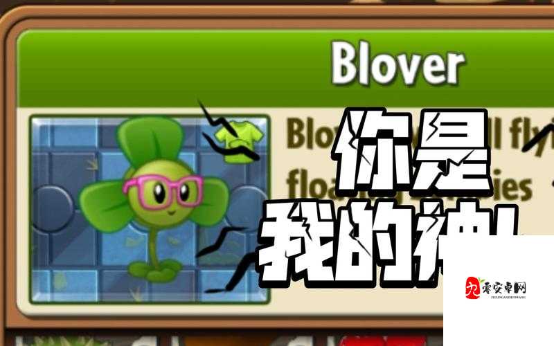 成品站w灬源码三叶草:探索优质源码的奇妙世界