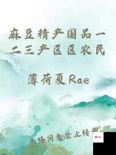 麻豆产国品一二三产品区别:深度剖析其各自特点与差异