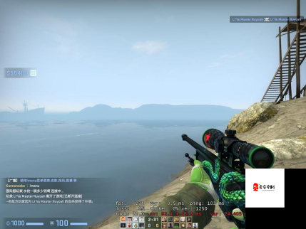 日本 CSGO 大姐姐 AWP 多少钱:其价格背后的秘密与影响