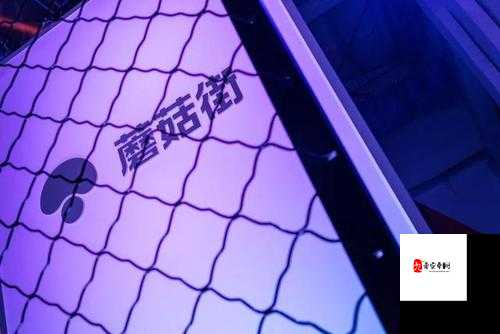 蘑菇色网:独特魅力引领时尚潮流新发现