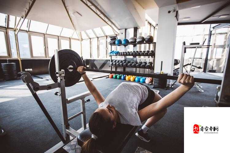 男女上下拱 120 :独特健身方式引发的身体变化探讨