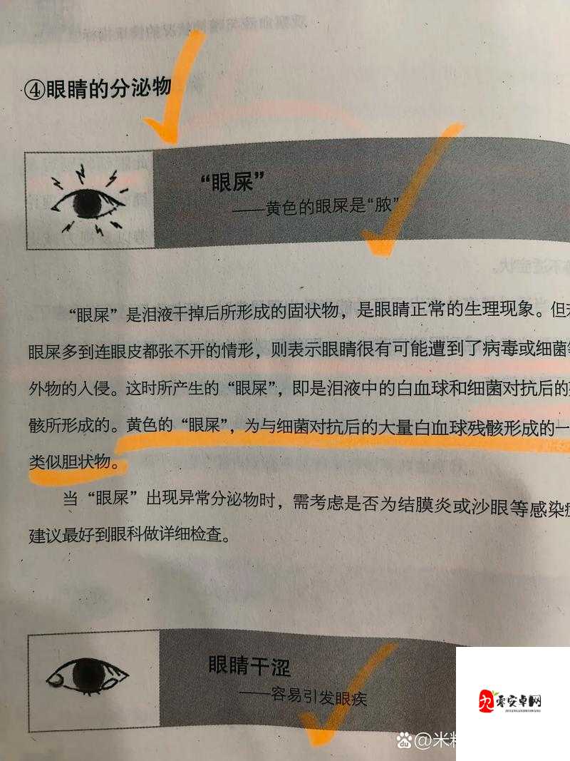 男生还没开始就有粘液是什么:这种现象的原因及相关探讨