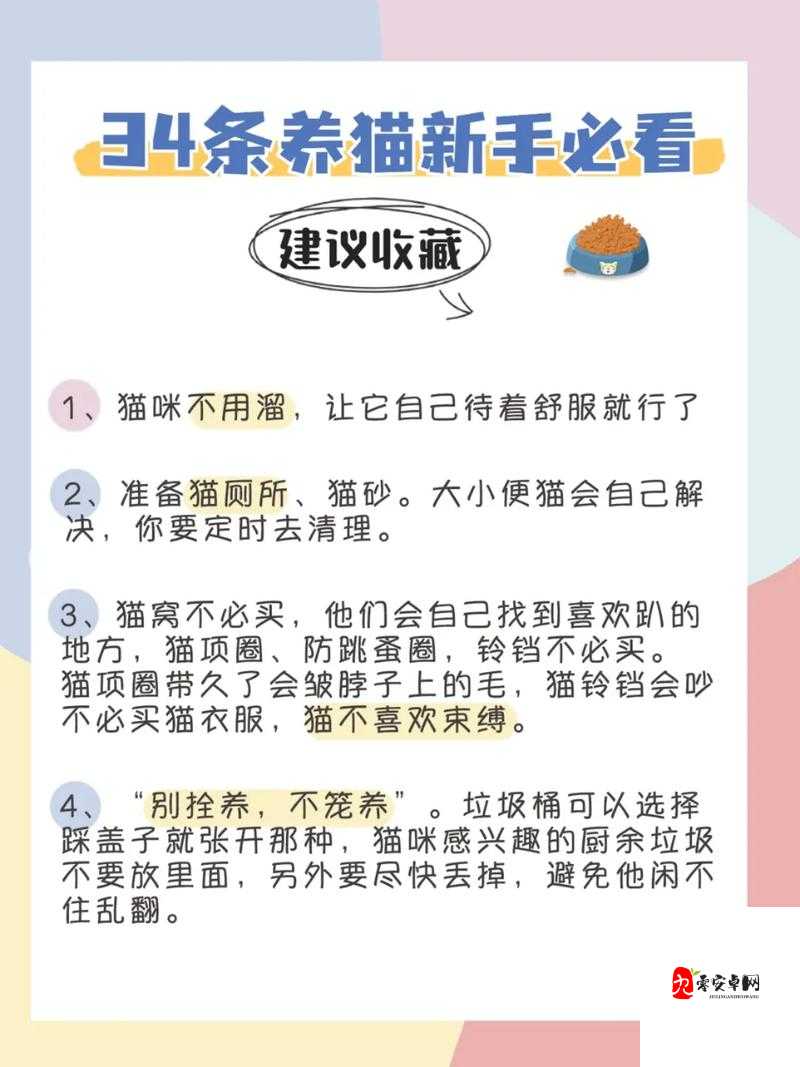 爱捕萌宠新手必看,前期必做的几件事
