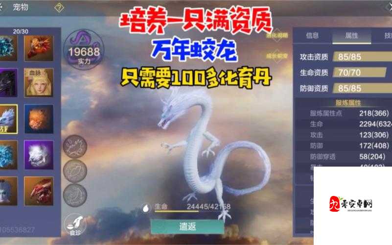 妄想山海蛟龙如何进行培养,蛟龙培养玩法分享与资源管理策略