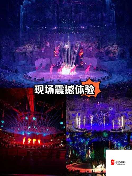 尖叫攻略,解锁超大音量平推的震撼体验