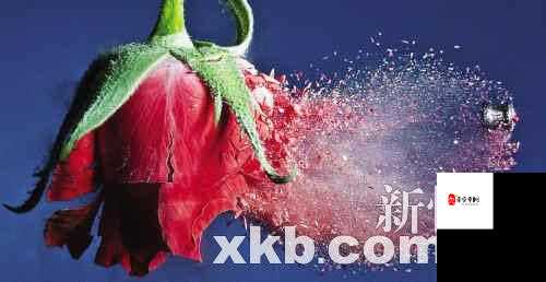 爆炸先生攻略,揭秘子弹拐弯的奇妙艺术