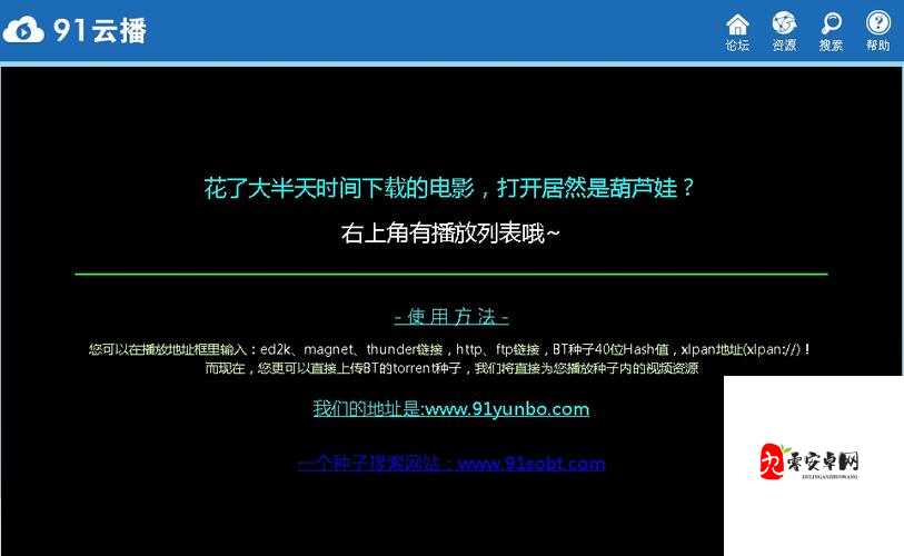 91破解版安装:详细步骤与注意事项解析