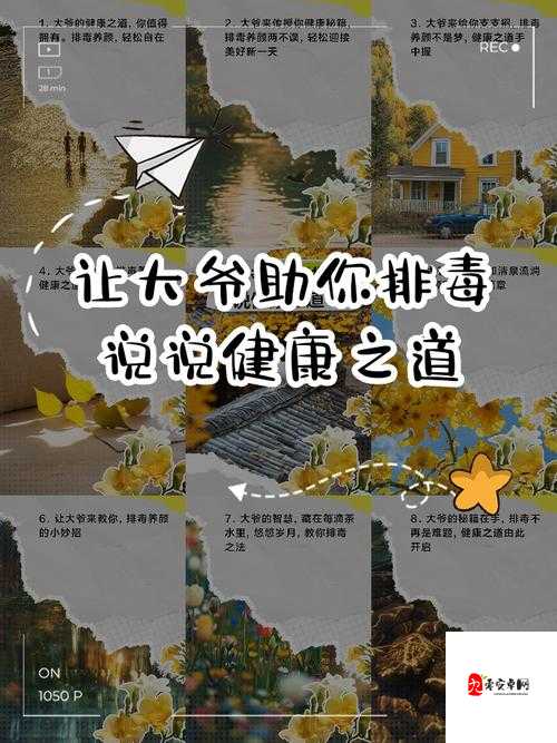 让大爷再帮你排排毒:探寻独特的健康疗养之道