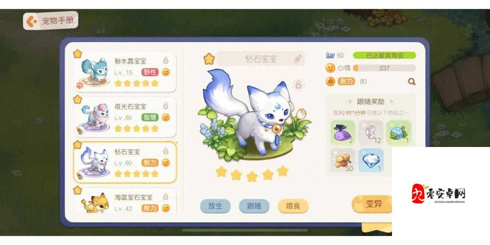 奥比岛手游宠物培育全攻略,打造你的专属萌宠战队