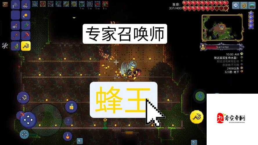 泰拉瑞亚专家模式蜂王挑战攻略,解锁蜂王玩法的终极秘籍