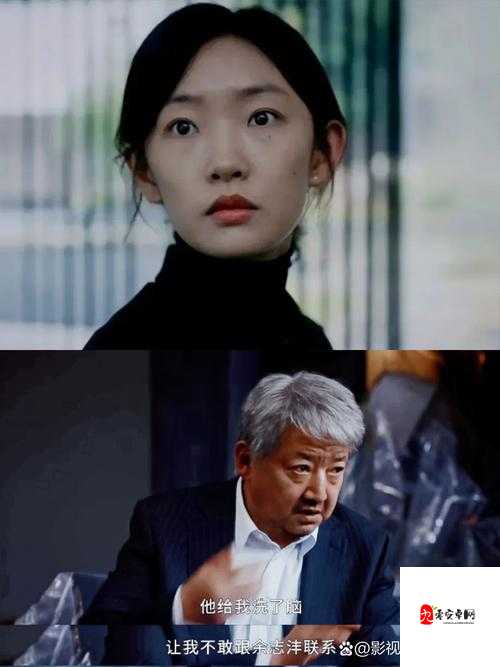 96533 影视剧:一部引人入胜的情感纠葛故事