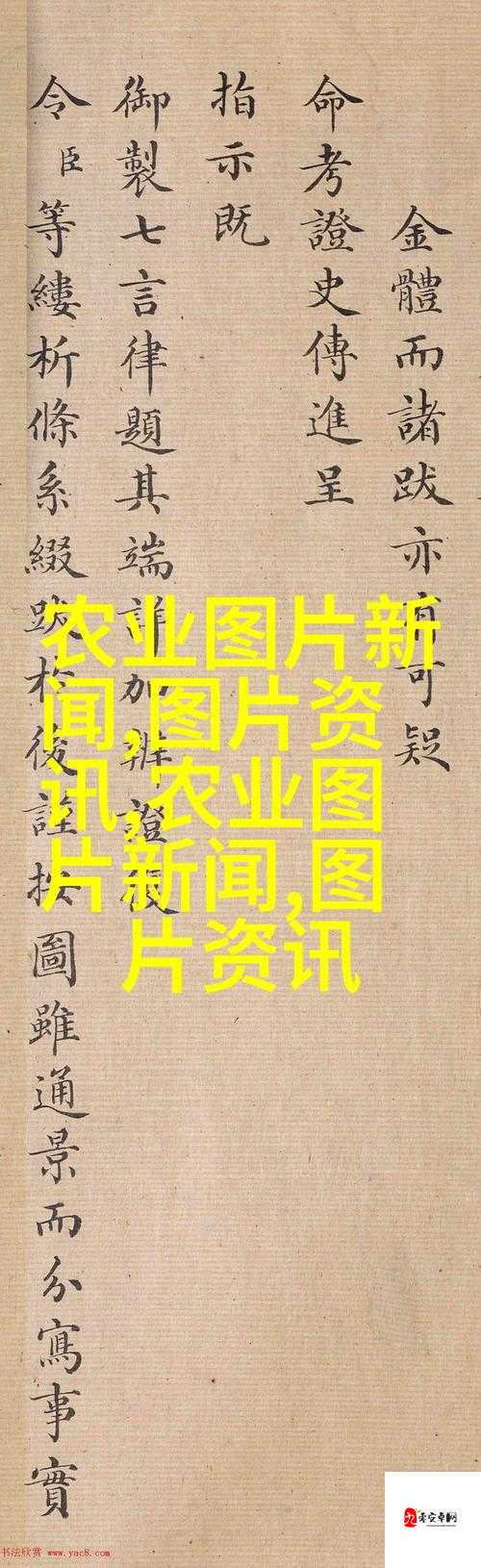 人鲁交 yazhonghu:一场引发深刻思考的特殊交往事件