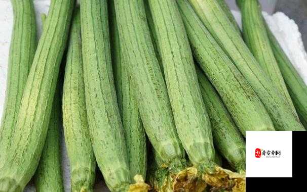 国产精品草莓香蕉榴莲丝瓜十八岁可以吃吗:探讨其营养价值与食用方式