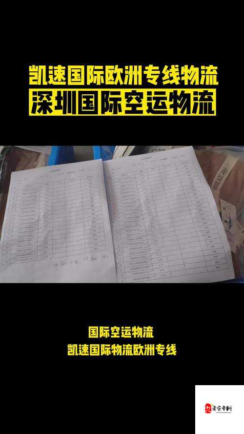 美国专线与欧洲专线区别大揭秘:物流时效、费用及服务差异分析