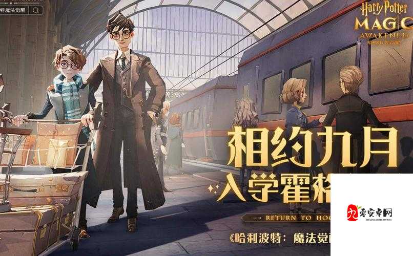 哈利波特魔法觉醒,室友不仅是室友,更是你的魔法伙伴!