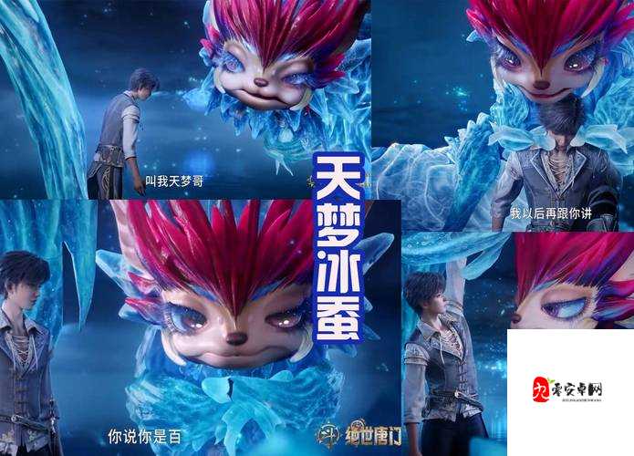 圣契大陆,揭秘玩家心中的梦幻决斗场