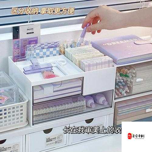 13 岁女孩 PG 可以放几支笔:探究文具收纳的奥秘