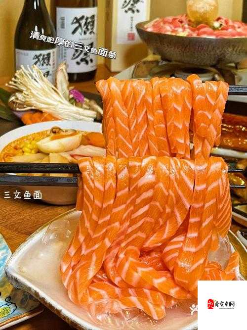 三文鱼弹弹弹,探索更高叠加高度的资源管理艺术
