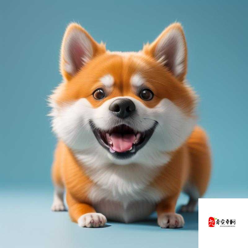 人狗畜禽companylimited:一家独特而有趣的公司