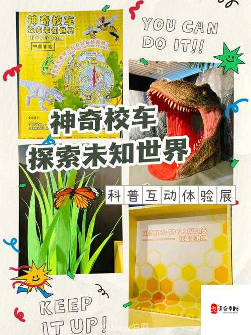 17c 视频历史观看记录:探索未知的世界