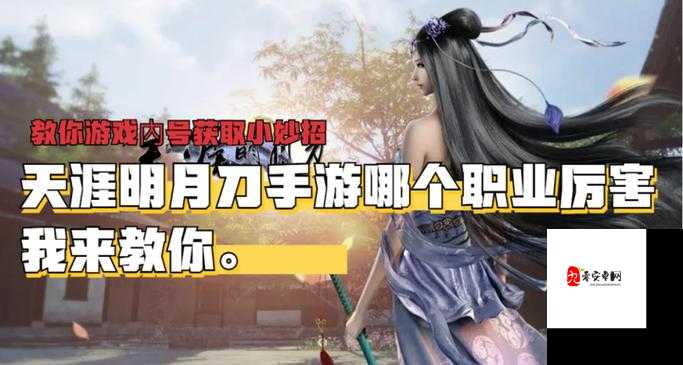 天涯明月刀手游白鹭洲通关秘籍,解锁高效玩法