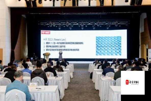 国产矿转码专一 2024:提供内容更丰富的专业探索与创新实践