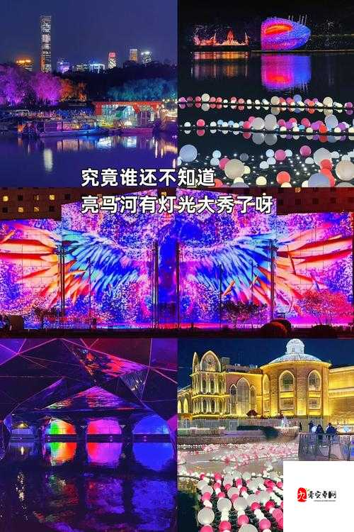 99 久视频只有精品 2019:呈现精彩视觉盛宴