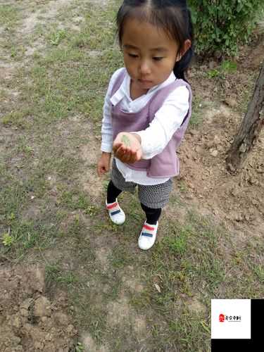 舞蹈室里的景色李欣罗晴:那充满活力与美好的瞬间
