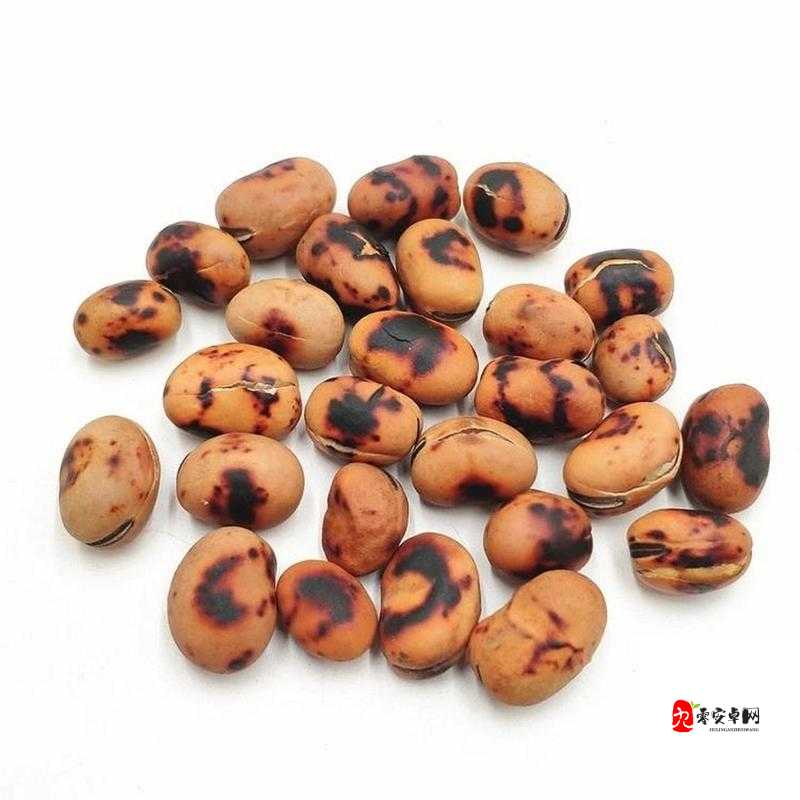 高清欧美精品 XXXXX 大豆行情:优质大豆的行情分析与展望
