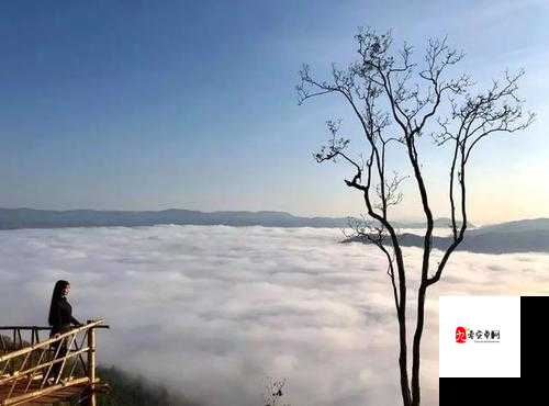 久久久 18-缅北禁地 探寻背后的神秘与危险之旅