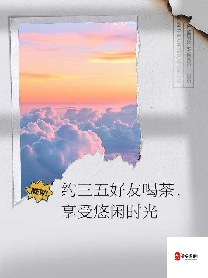 500 一晚同城约茶:享受惬意休闲时光