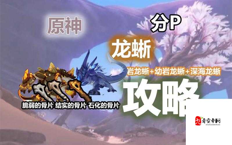 原神攻略龙蜥下篇,深度剖析,制胜策略大揭秘