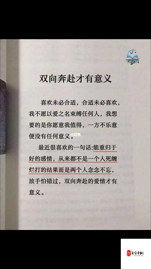 双向奔赴 1V1SC 南望:一场真挚的情感之旅