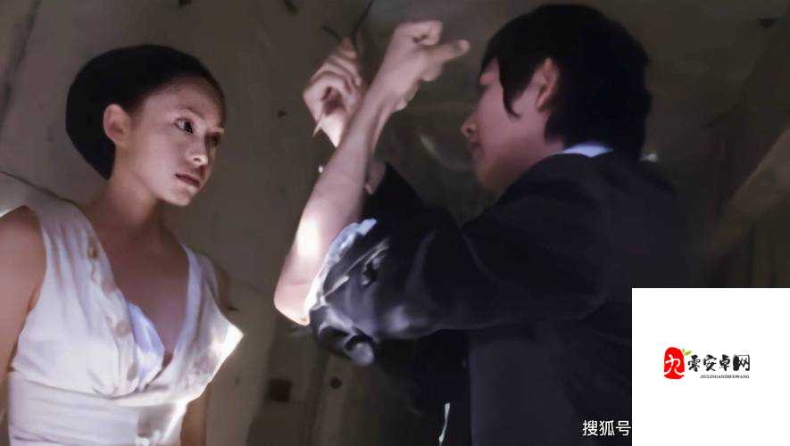 嘼皇极品无码:震撼视觉的极致内容呈现