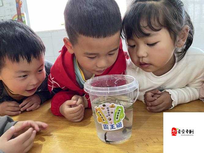 国产乱婬 OV 精品一区二区小蝌蚪:探索独特视觉盛宴