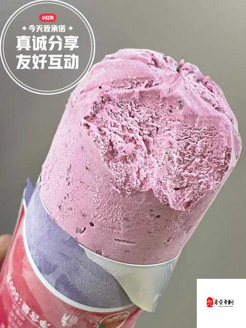 七彩莓冰淇淋,美味与收益并存的创业秘籍