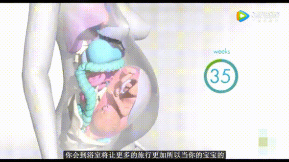 怀孕的母亲模拟游戏,体验孕晚期分娩全过程的资源管理艺术
