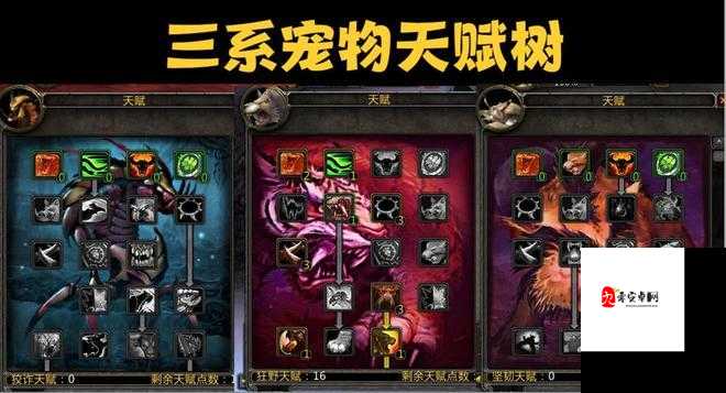 赛尔特大陆宠物玩法全解析,如何挑选你的最佳伙伴