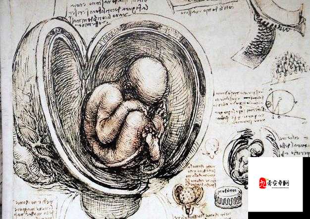 :探索性行为的奥秘:艹屄的科学与艺术