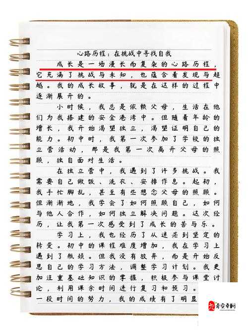错几道题就往下面插一支笔作文:记录学习成长的独特方式